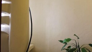 A spiral staircase with a plant beside it.