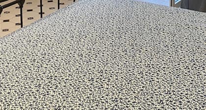 Ocean Front View great spot!