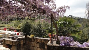 Un mur de pierre agrémenté de plantes en pot et une pergola couverte de plantes grimpantes aux fleurs violettes.