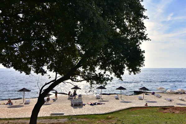 A beach with umbrellas, lounge chairs, and a tree providing shade.