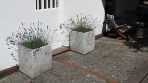 Un bâtiment blanc avec une porte et une fenêtre, deux jardinières contenant des plants de lavande et une chaise à bascule en bois.