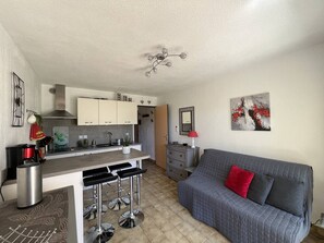 TV - AIR-CONDITIONED APARTMENT LA  MARINE (BORMES-LES-MIMOSAS)