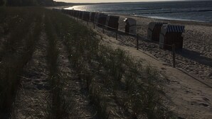 A beach with a row of beach chairs and a path leading to the water.