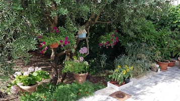 Blick auf den Garten