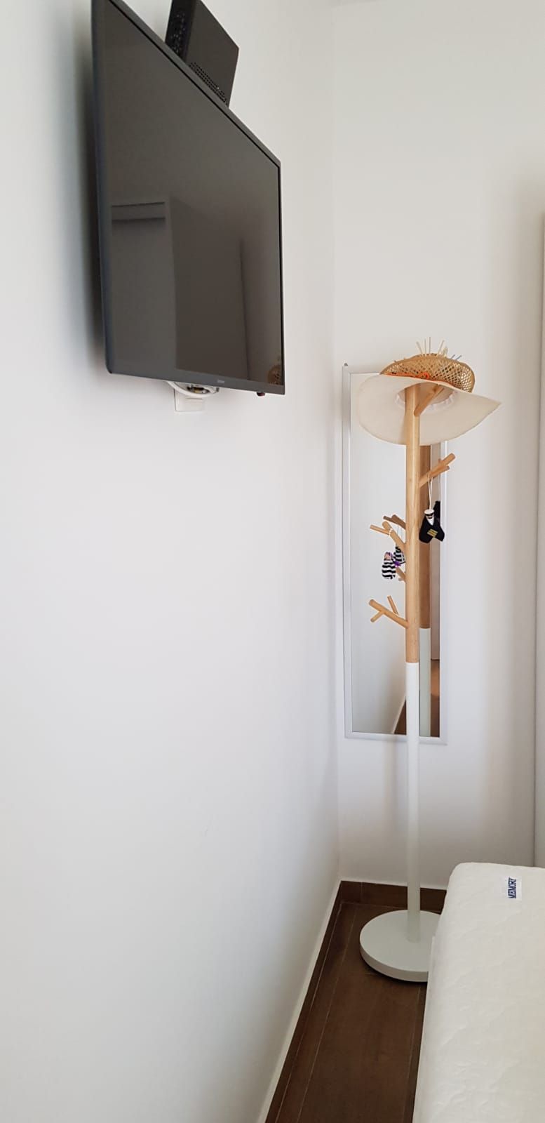 電視