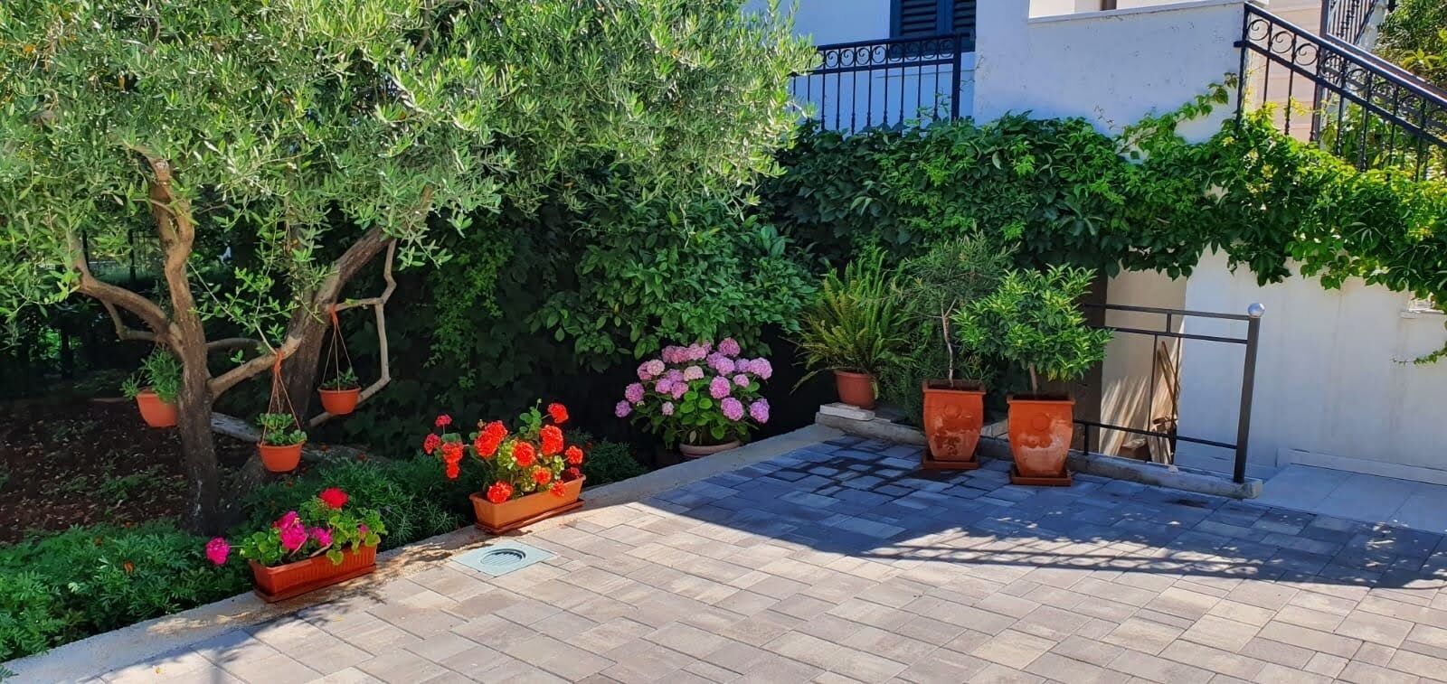 A courtyard with potted plants and a tree.