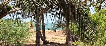 Baobab-talo