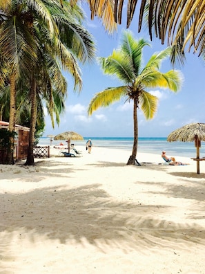 Plage à proximité, chaises longues, serviettes de plage