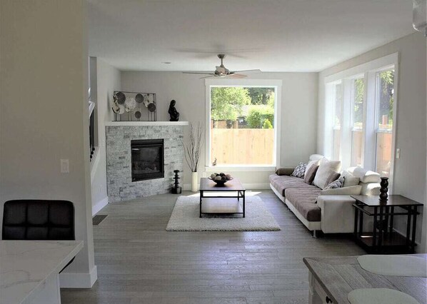 Télévision, cheminée, livres