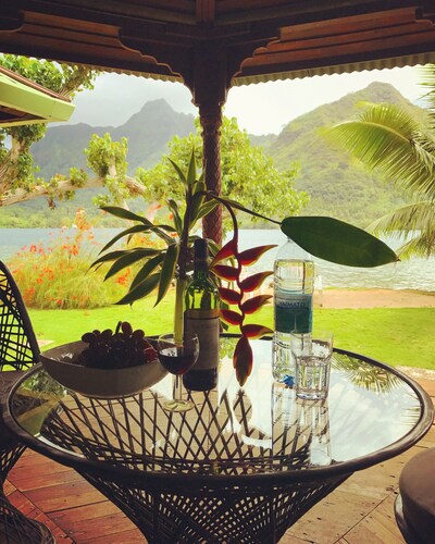 Lagoon Boungainvilla - Robinson's Cove