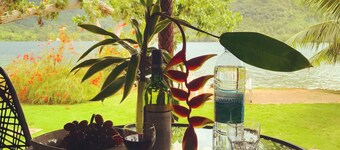 Lagoon Bougainvilla - Robinson's Cove