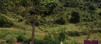 VILLA IDEALLY LOCATED BETWEEN CORTE AND ILE ROUSSE