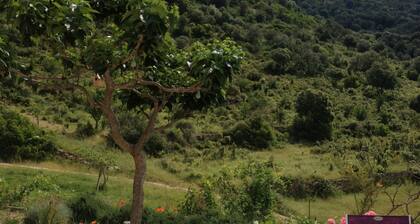 VILLA IDEALLY LOCATED BETWEEN CORTE AND ILE ROUSSE