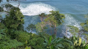 A coastal landscape with dense greenery and waves crashing onto the shore. - Cumbremar Condos (Tárcoles)