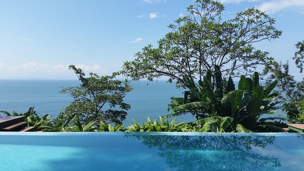 Una piscina con vista al mar, rodeada de abundante vegetación.
