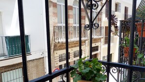 A balcony with a potted plant, a metal railing, and a view of a building with multiple windows and balconies. - Very luminous apartment in the corner of the Cathedral, in the Arenal district (Sevilla)