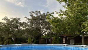 Una piscina con mosaicos azules, rodeada de árboles y una cabaña de madera.
