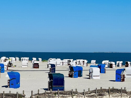 Exclusive North Sea domicile: directly on the dyke, for 4 people!