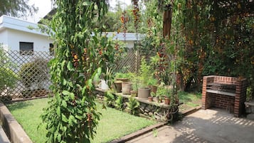 Vườn