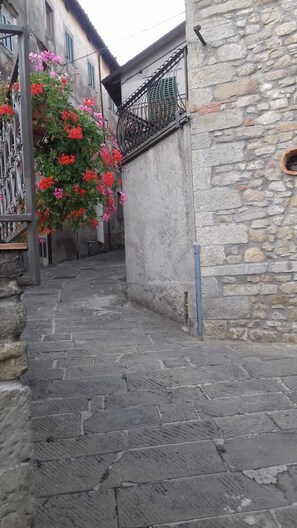 Property grounds - Poli Bolzoni House in Historic Center (San Marcello Pistoiese)