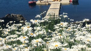 Un quai où sont amarrés des bateaux, une jetée et une rive bordée d’arbres.