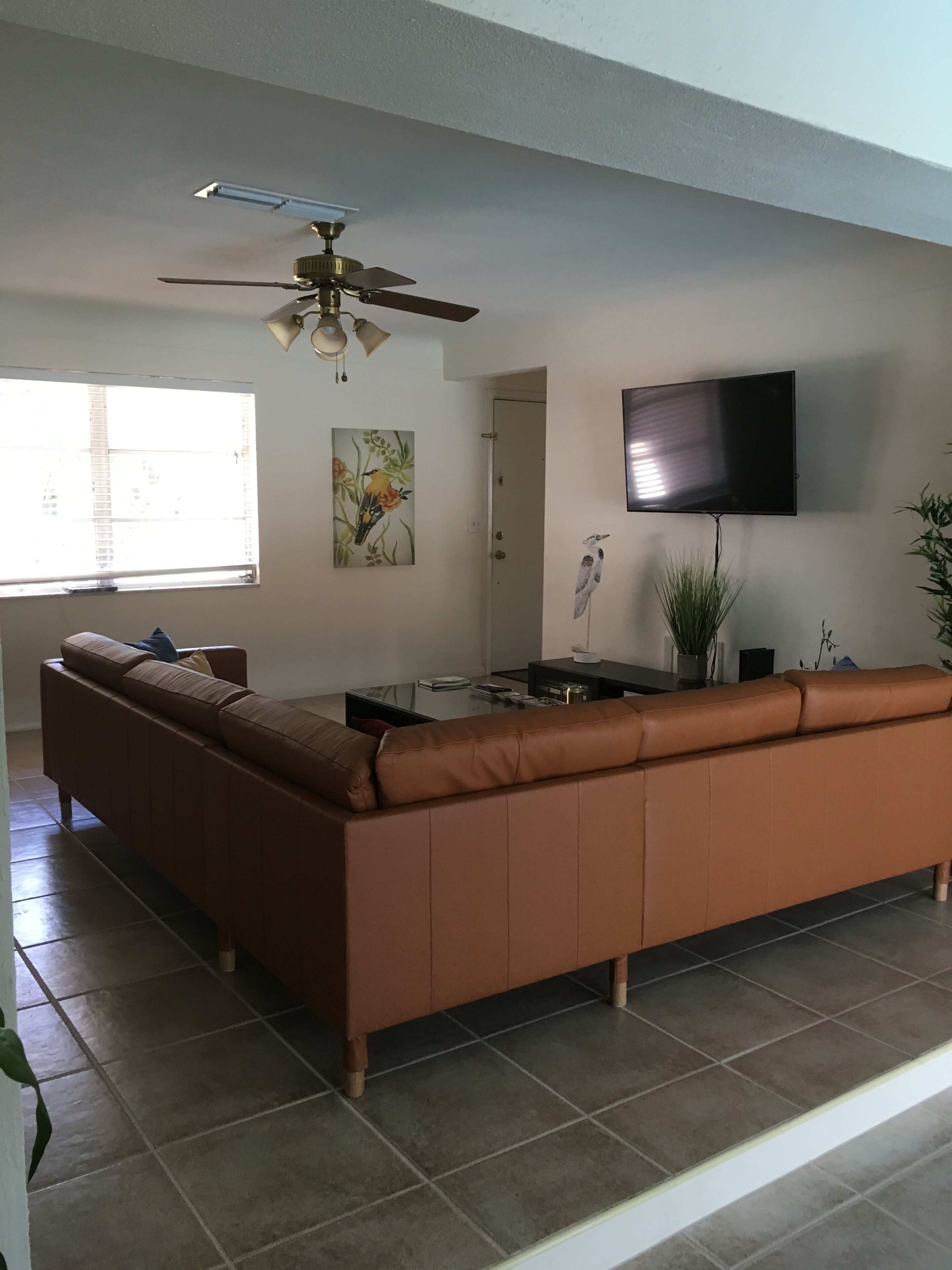 智能電視、DVD 播放機、書籍、影像庫