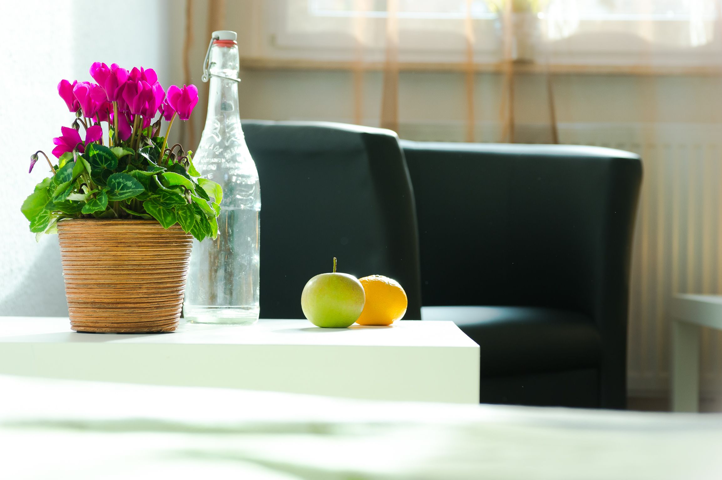Een tafel met een bloempot, een fles en twee soorten fruit.