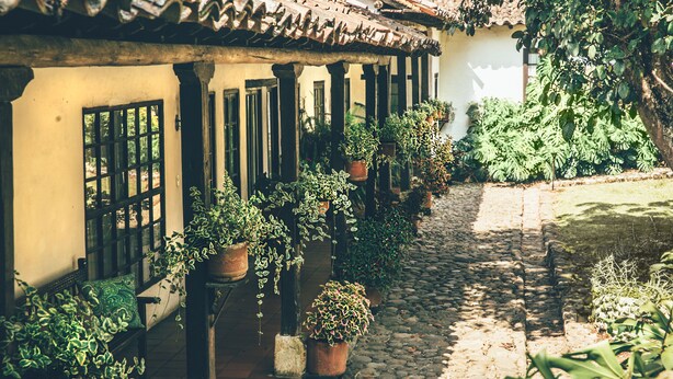 Un cortile con pavimento piastrellato, piante in vaso e un edificio con colonne e finestre.