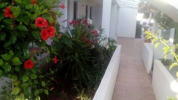 Detalle del exterior