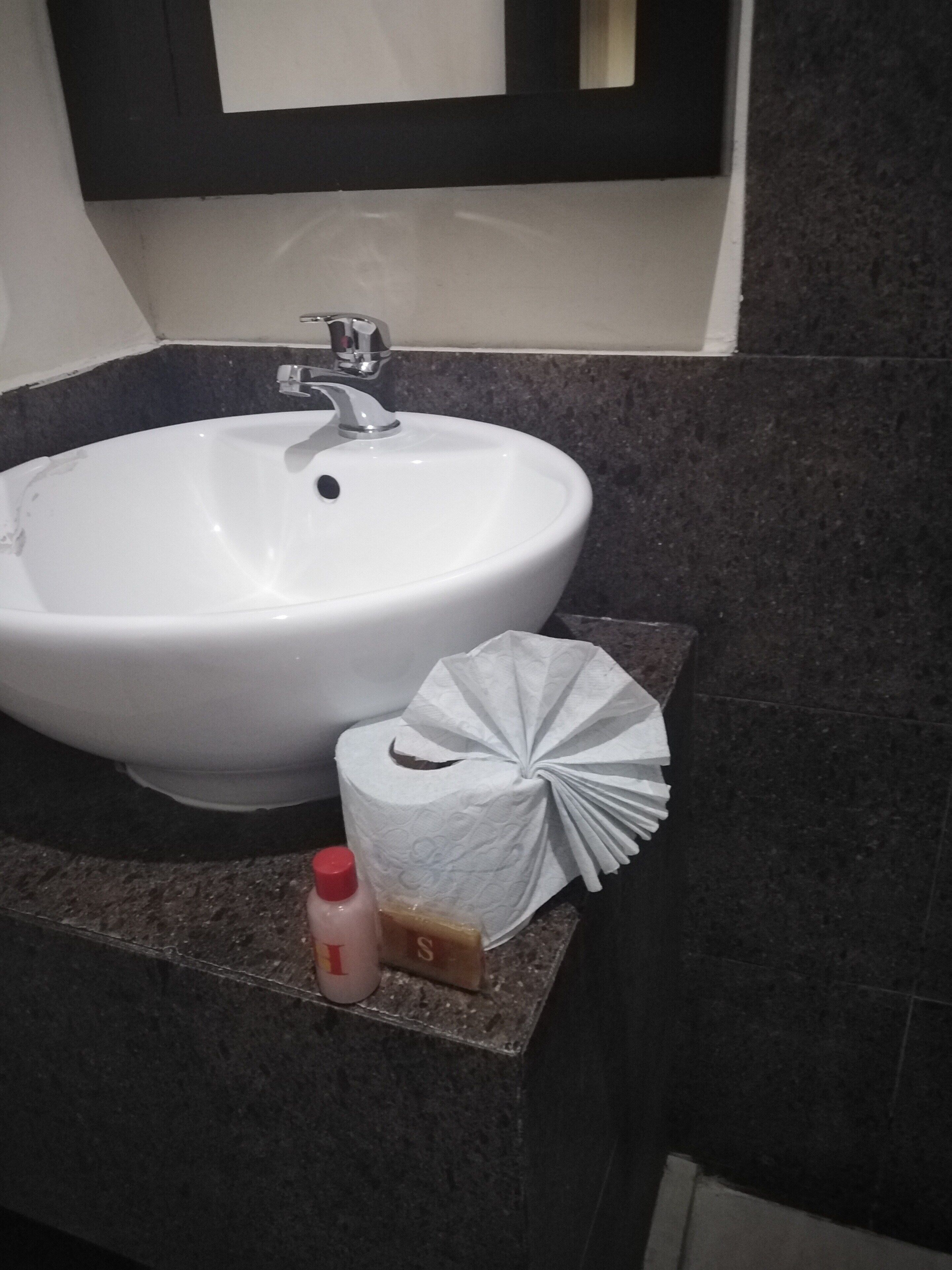 standard twin room | bathroom sink