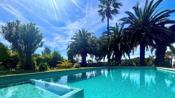 A clear blue swimming pool with tiled edges, surrounded by palm trees and greenery. - VILLA LOS ARCOS COSTA BRAVA
Breathtaking sea views & relaxation amidst nature (Lloret de Mar)