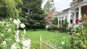 A well-maintained garden with a lawn, white roses, and a white fence. - Churchill Manor B&B (Napa)