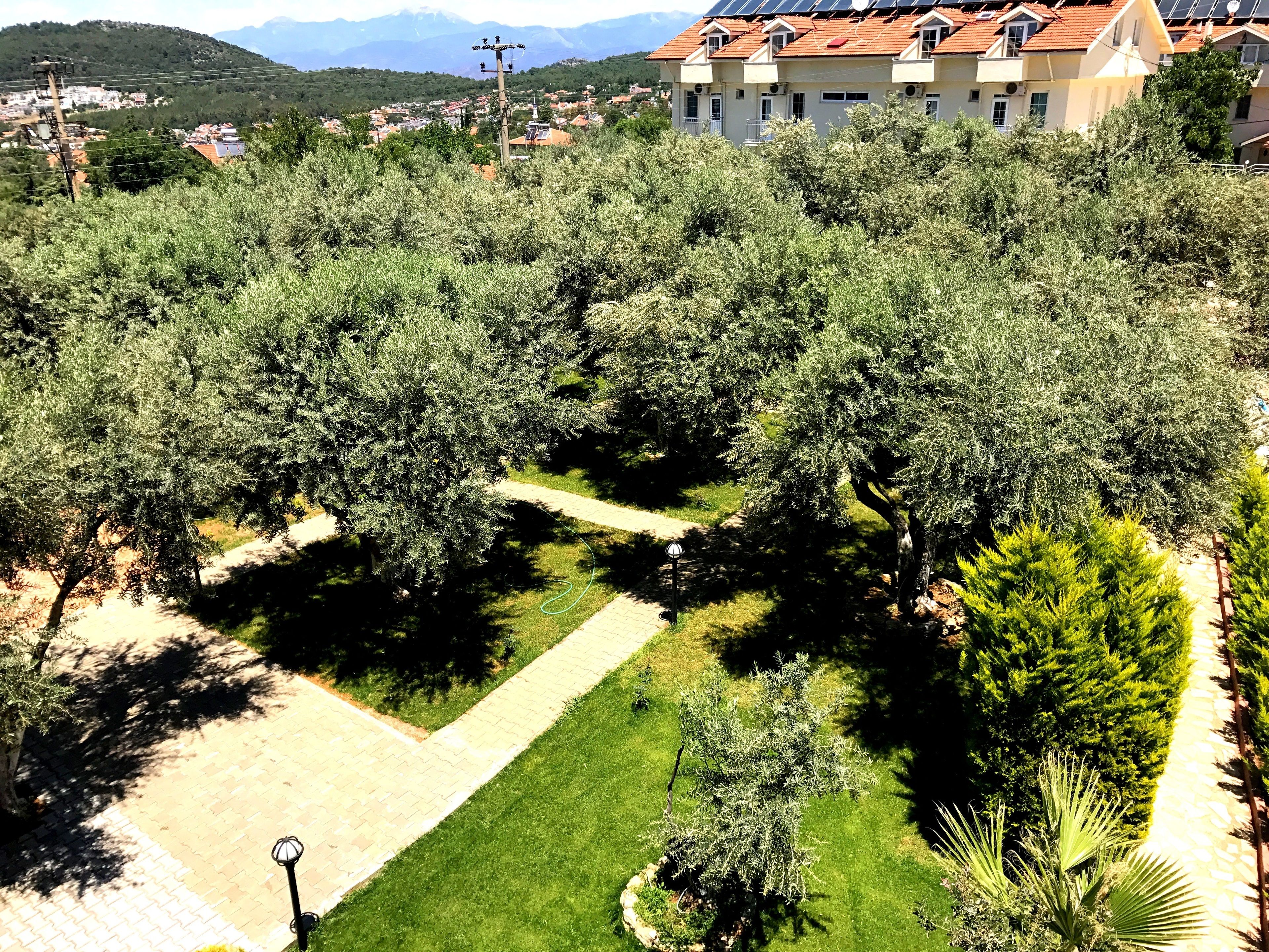 Photo - Nature Hotel Doğa Hotel Ölüdeniz