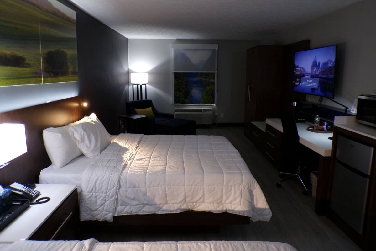 A hotel room with a large bed, a desk with a telephone, a television, and a window with a view of a landscape.