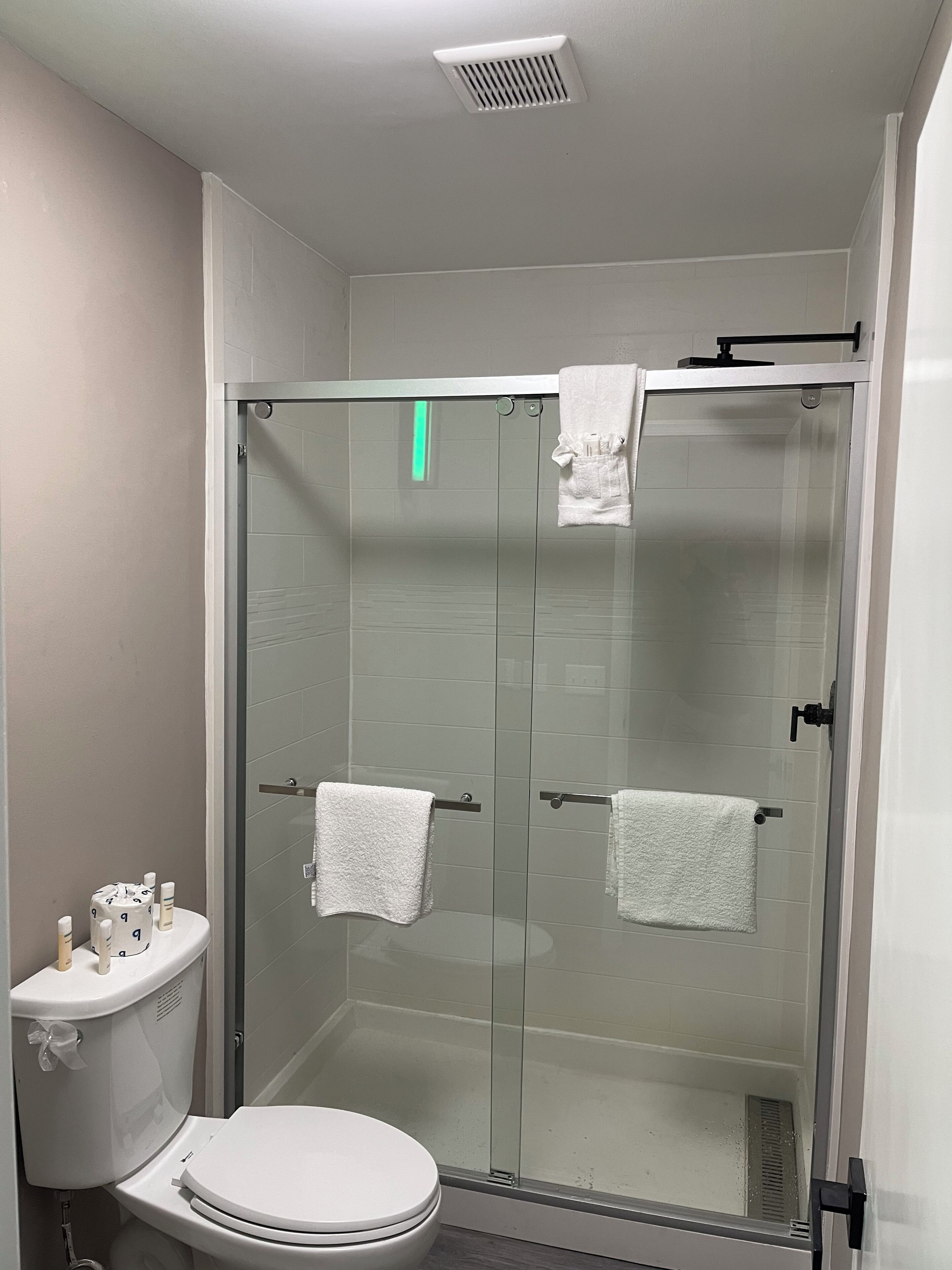A modern bathroom with a glass-enclosed shower, a toilet, and a sink.
