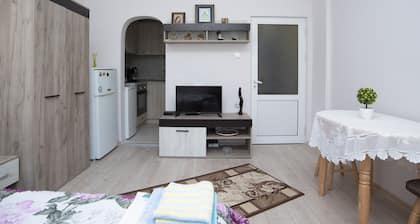 Lynn's Oasis-Ocean Touch in Core Downtown