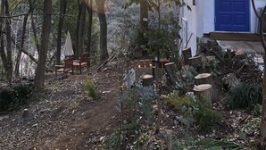 Un chalet rustique avec une porte bleue, entouré d’arbres et d’un jardin agrémenté de bancs en bois.