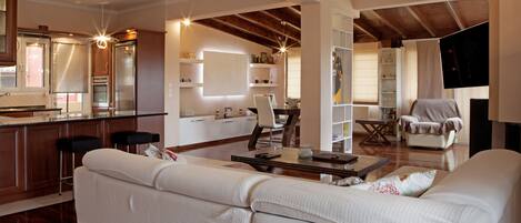 Télévision, cheminée, lecteur de DVD, livres