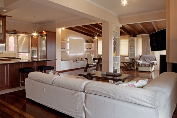 TV, fireplace, DVD player, books