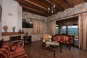 Flat-screen TV, fireplace, books