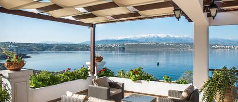 テラス / パティオ