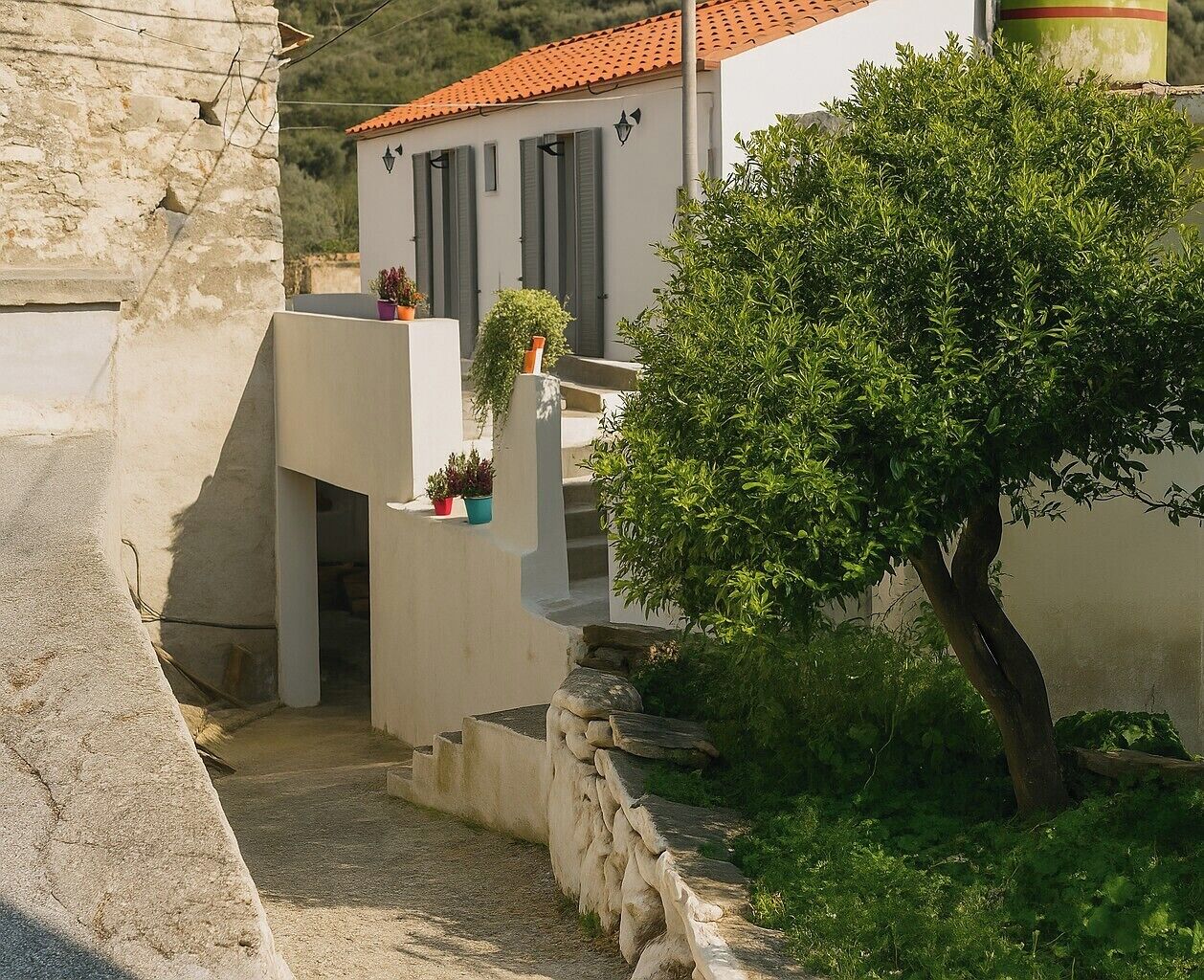 Terrain de l’hébergement 