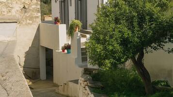 Terrain de l’hébergement