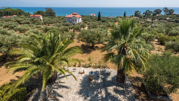 Una proprietà costiera con un edificio bianco, palme e vista sul mare.