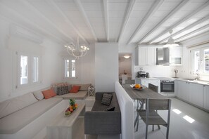 Télévision, cheminée, lecteur de DVD, chaîne hi-fi