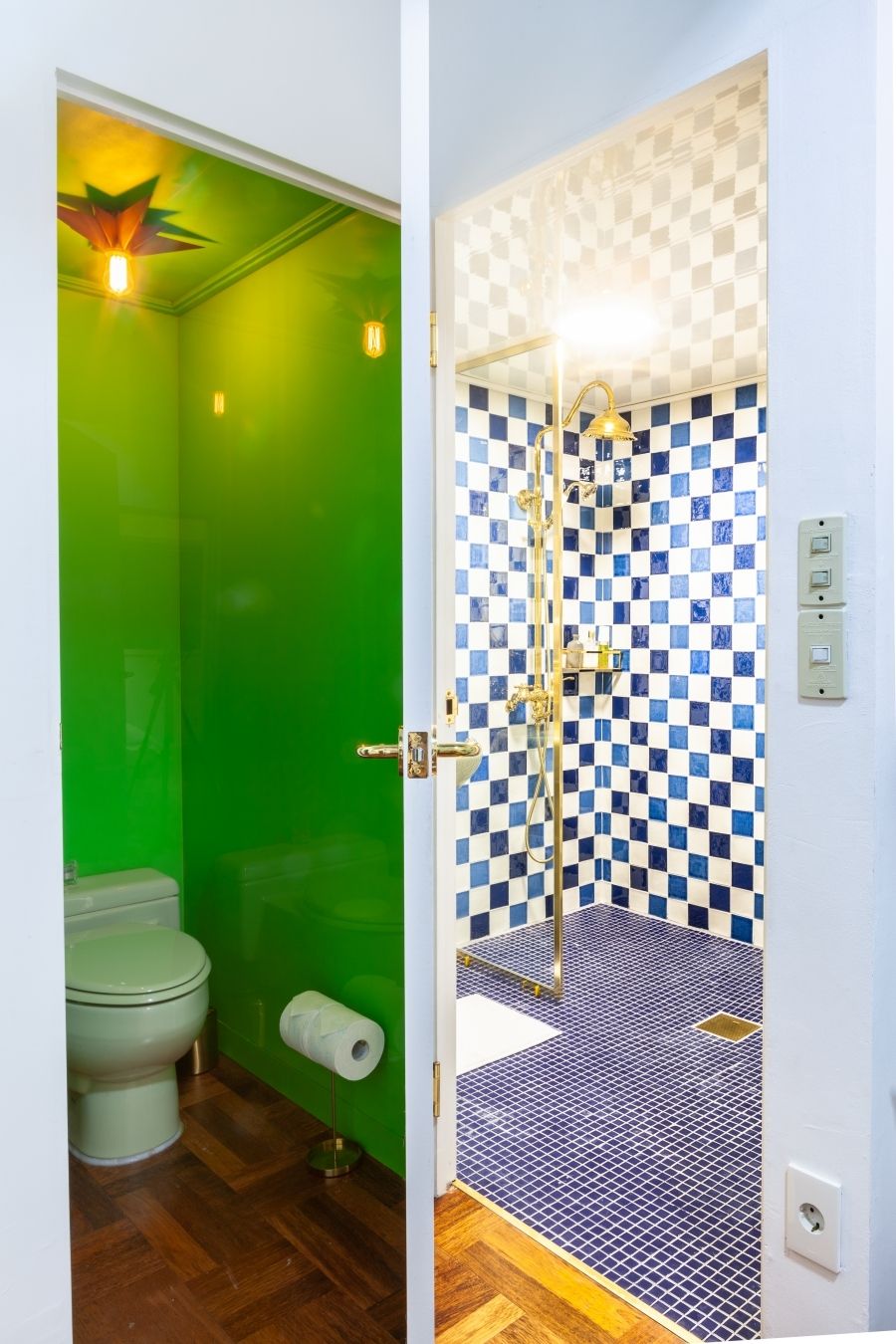 A bathroom with a green wall, a toilet, and a shower with checkered tiles.