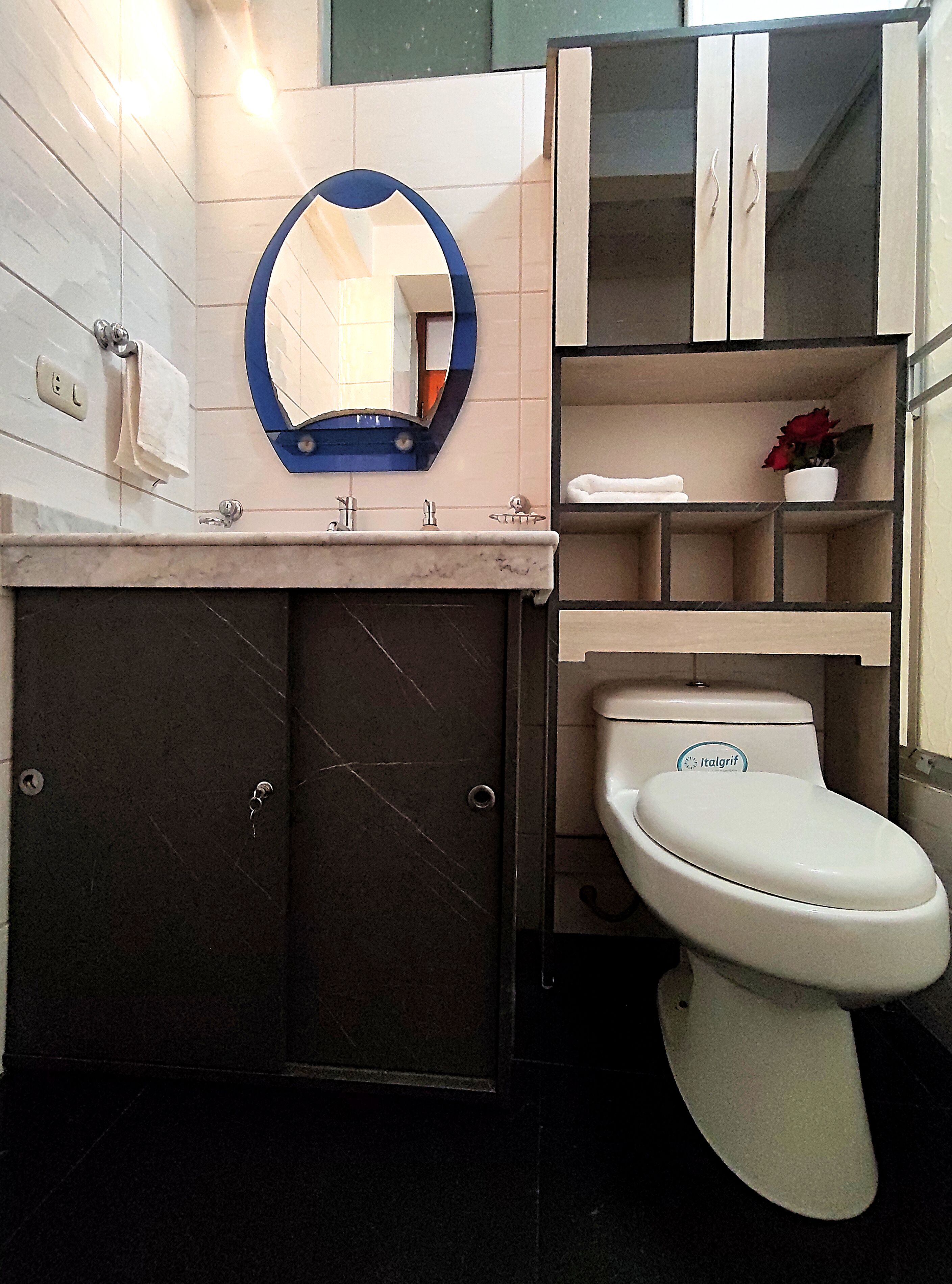 A bathroom with a toilet, sink, and mirror. There is a cabinet above the sink and a shelf with a potted plant.