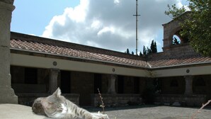 A cat lying on a stone floor in a courtyard with a tiled roof and stone walls. - Apartment "Grace" with 2 spaces, at the foothills of Filerimos, Ialysos - Rhodes (Ιαλυσός)