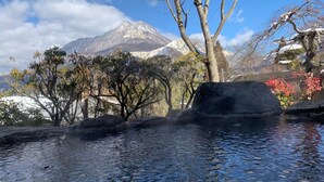 A hot spring surrounded by trees and a mountain in the background. - Yufuin Sanso Waremokou (Yufu)