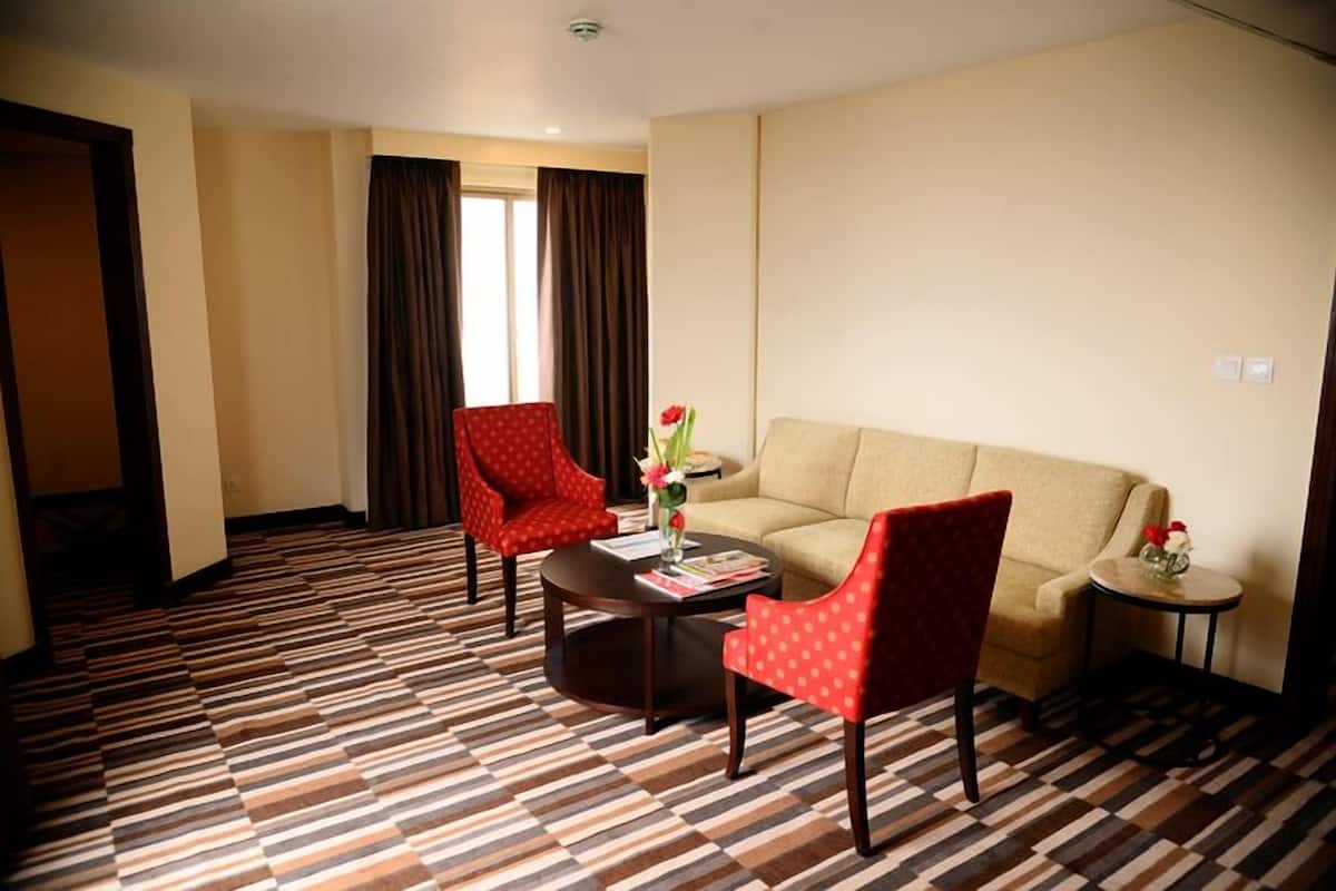 deluxe suite | living area | flat-screen tv